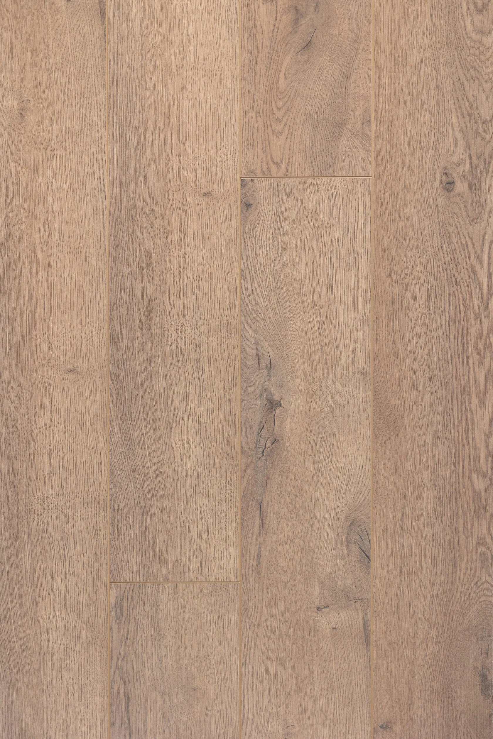 Ламинат "Joss Beaumont" Opus Колетт (1387*145*10 мм) — купить в Барнауле