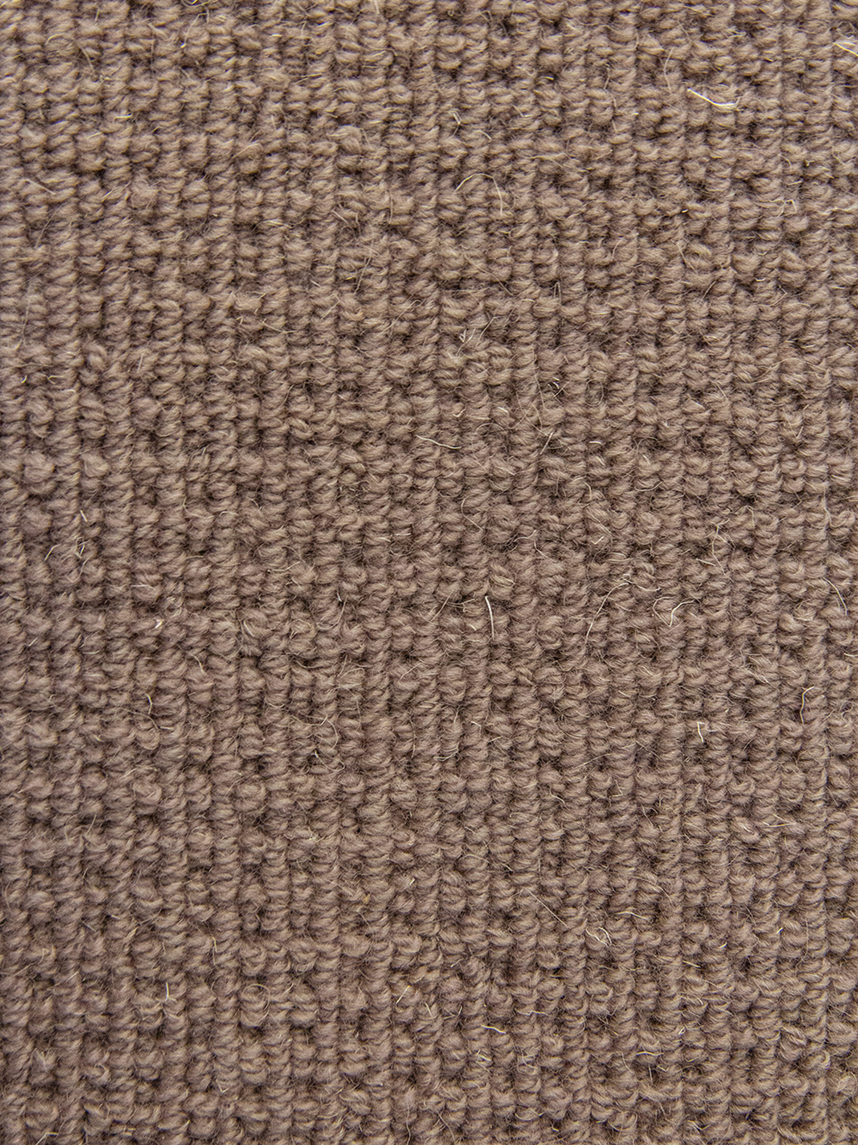 Ковровое покрытие "Bonkeel" Welfare Brown (ширина 4м) — купить в Барнауле