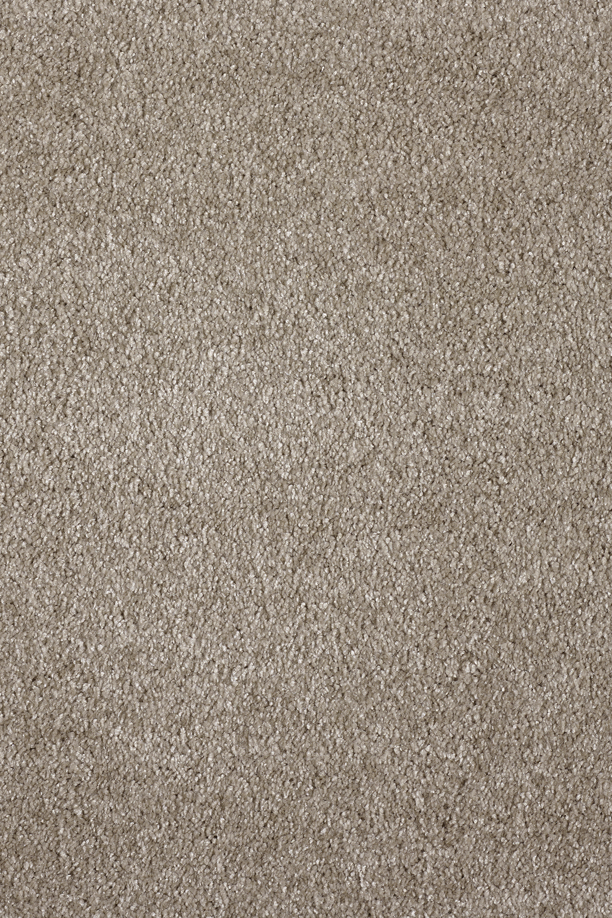 Ковровое покрытие "Bonkeel" Parana 34 (ширина 4м/5м) — купить в Барнауле