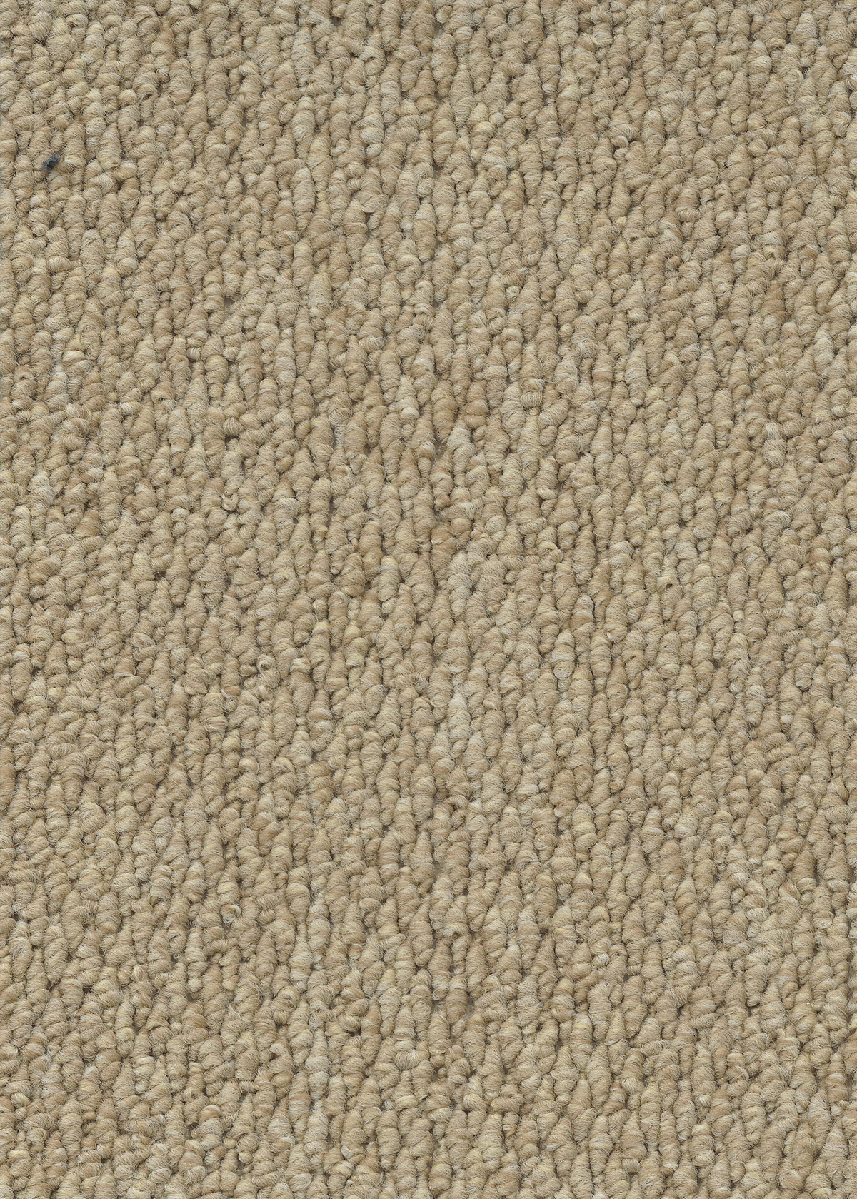 Ковровое покрытие "Bonkeel" Skye 50 (ширина 4м) — купить в Барнауле